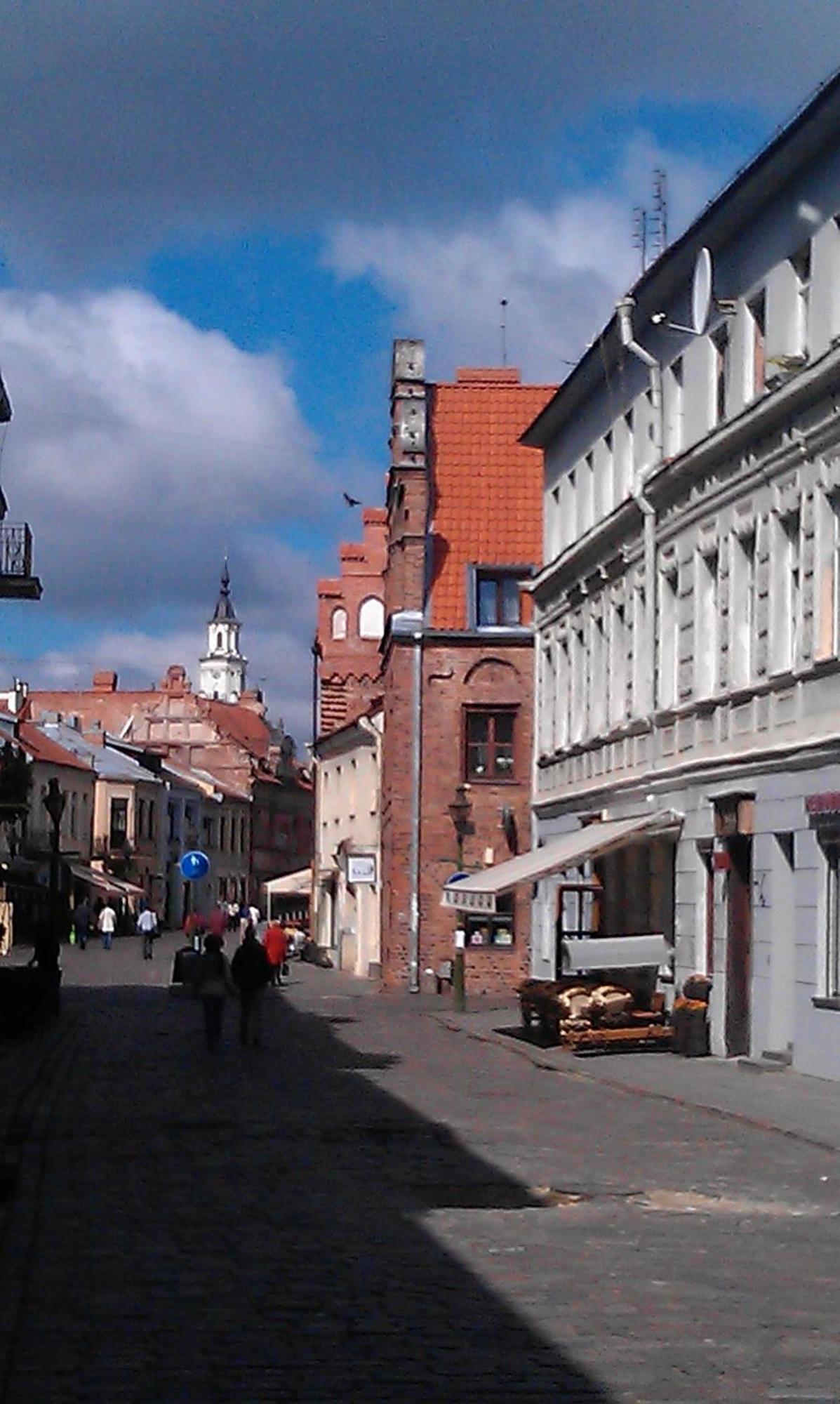 Hostel Lux Kaunas Exterior photo